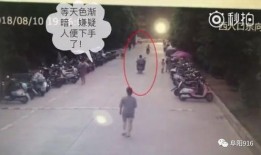 大盗爆料视频大全,揭秘犯罪内幕，惊心动魄的盗贼世界