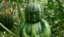 砀山最新吃瓜爆料事件真相,揭秘背后真相，还原事件全貌