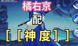 坑神王者爆料视频音乐