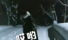 李易峰朋友爆料视频播放,揭秘明星私生活幕后真相