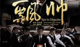 电视剧飘帅全集在线观看,重温经典，领略英雄风采