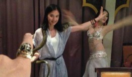 与蛇共舞香港在线观看,香港神秘生态探秘之旅