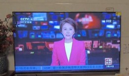 观看中央4套在线直播,聚焦全球视角，传递中国声音