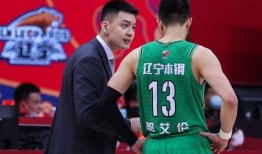 天涯爆料杨鸣视频大全,杨鸣视频大全，揭秘篮球明星的幕后故事