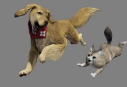 兽境猎犬爆料视频大全,揭秘神秘生物世界