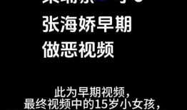 柬埔寨爆料视频,真实背后的惊人内幕