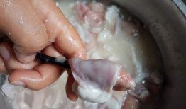 大厨爆料小肠视频大全,小肠烹饪视频大全大放送