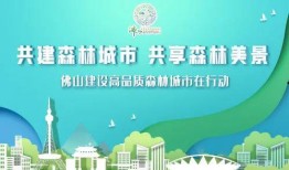广州佛山新闻爆料电话,揭露城市脉搏，倾听民声心声