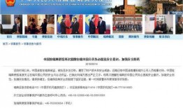 中国国安局最新爆料视频,深度解析中国网络安全防线