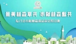 广州佛山新闻爆料电话,揭露城市脉搏，倾听民声心声