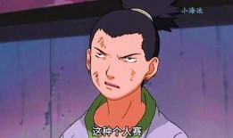 鹿丸小豪爆料视频大全,揭秘娱乐圈幕后真相