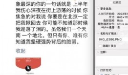 再见董小姐爆料视频