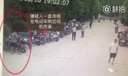 大盗爆料视频大全,揭秘犯罪内幕，惊心动魄的盗贼世界