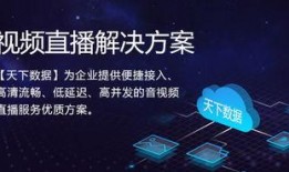 极限分析正泰爆料视频,揭秘爆料视频背后的真相与情感纠葛