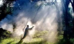 假太极视频在线观看,在线观看视频带你领略虚假武术的真面目