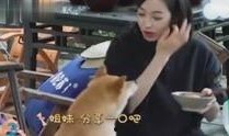 欧美娱乐八卦爆料视频播放,揭秘明星幕后故事