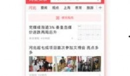 河北今日头条爆料群微信,揭秘XX事件背后真相