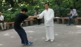 假太极视频在线观看,在线观看视频带你领略虚假武术的真面目