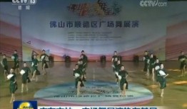 广州佛山新闻爆料电话,揭露城市脉搏，倾听民声心声
