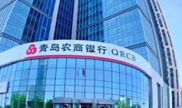 青岛农商行最新爆料,揭秘业务创新与风险管控新动向