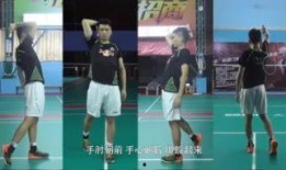 杨晨爆料原视频在哪看啊,揭秘事件真相