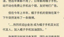 娱乐圈爆料的那篇文章,揭秘明星背后的惊人真相