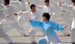 假太极视频在线观看,在线观看视频带你领略虚假武术的真面目