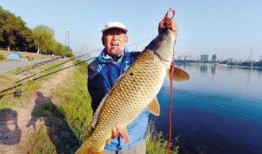 沙坑大鲤鱼爆料视频播放,揭秘幕后真相